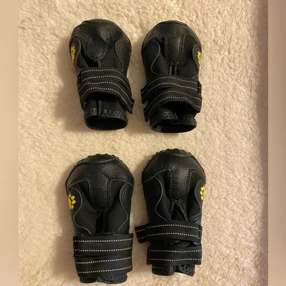 Large Dog Supplies Bundle